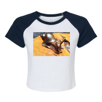 Snail Raglan Crop Top | Artistshot