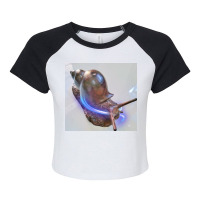 Snail Adventure Climbing Hiking Outdoor Camping Nature Lover T Shirt Raglan Crop Top | Artistshot