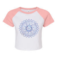 Mandala Geometry Sacred Fractal Art Yoga Mantra Good Vibe Raglan Crop Top | Artistshot