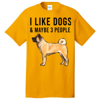 Funny I Like Akita Dogs And Maybe 3 People 2 Basic T-shirt | Artistshot