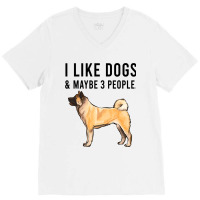 Funny I Like Akita Dogs And Maybe 3 People 2 V-neck Tee | Artistshot