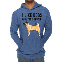 Funny I Like Akita Dogs And Maybe 3 People 2 Lightweight Hoodie | Artistshot