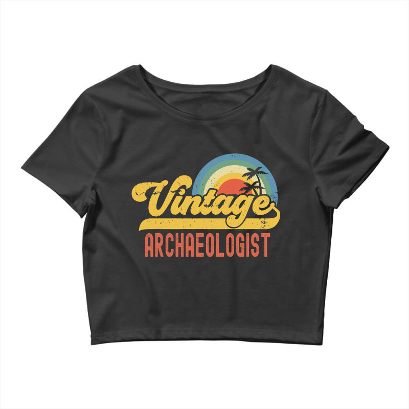 Archaeologist Vintage Sunset Profession Retro Job  Crop Top by JANETDAVIS | Artistshot