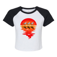 Flocks Of Seagull Vintage Sunset Seabird Harbour Albatros Raglan Crop Top | Artistshot