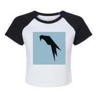 Parrot Os Raglan Crop Top | Artistshot