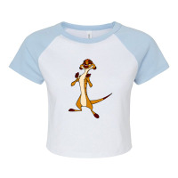 Timon Funny Raglan Crop Top | Artistshot