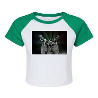 Tiesto Tiësto Raglan Crop Top | Artistshot