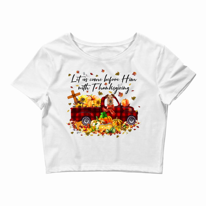 Irish Terrier Pumpkin Vintage Truck Thanksgiving H Crop Top by HarborLenard | Artistshot