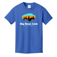 Big Bone Lick State Park Kentucky Bison Fossils Basic Youth T-shirt | Artistshot