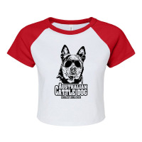 Funny Proud Australian Cattle Dog Coolest Dog Ever Dog T Shirt Raglan Crop Top | Artistshot