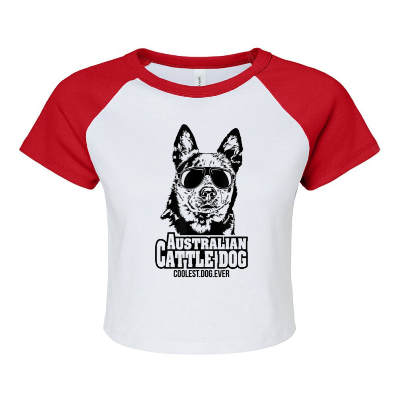 Funny Proud Australian Cattle Dog Coolest Dog Ever Dog T Shirt Raglan Crop Top by atereldoegevbm | Artistshot