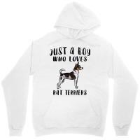 Im Just A Boy Who Loves Rat Terriers Dog Lover Unisex Hoodie | Artistshot