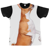 Love Basenji Shirt Dog Mom Dad Puppy Cute Pet Vale Graphic T-shirt | Artistshot