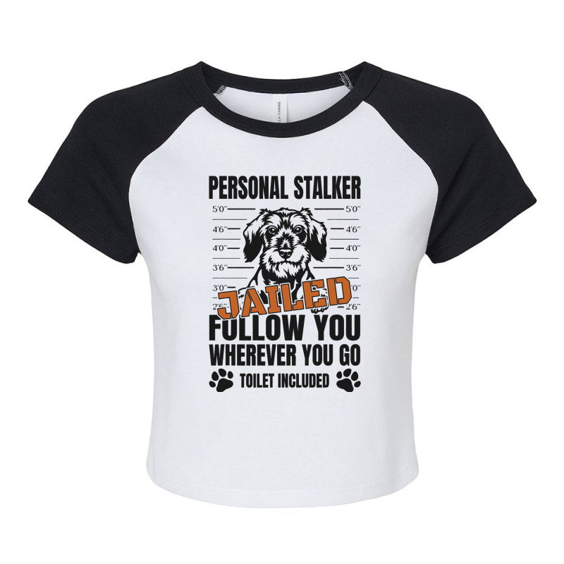 Jailed Personal Stalker Dog Miniature Schnauzer Raglan Crop Top by NariahPringl | Artistshot