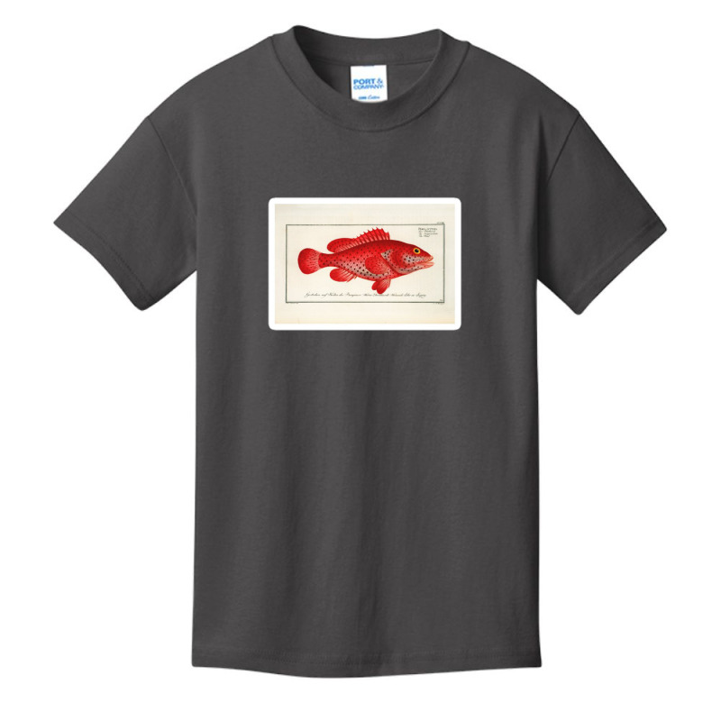 Antique Crustacean Print Homarus Americanus The American Lobster 57476 Basic Youth T-shirt | Artistshot