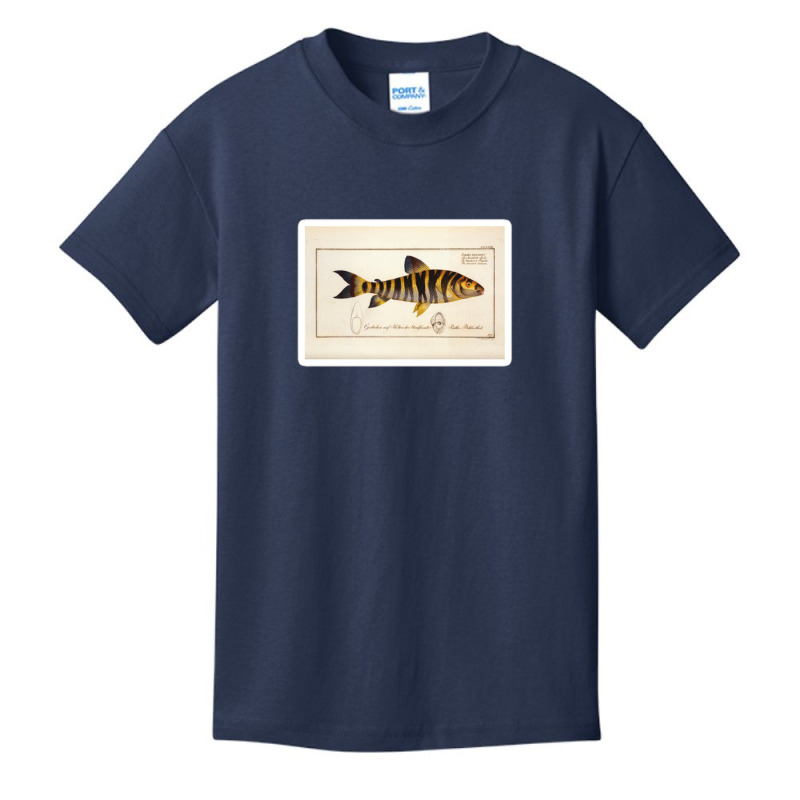 Antique Crustacean Print Squilla Empusa The Mantis Shrimp 57479365 Basic Youth T-shirt | Artistshot