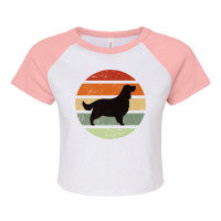 English Springer Spaniel Dog Retro Premium Raglan Crop Top | Artistshot