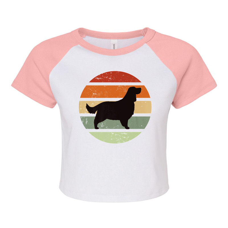 English Springer Spaniel Dog Retro Premium Raglan Crop Top | Artistshot