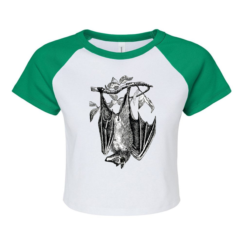 Classic Film  Fruit Bat Funny Gift Raglan Crop Top by AlisonArtists | Artistshot