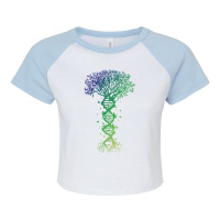 Dna Tree T  Shirt D N A Tree Of Life Genetics Colorful Biology Science Raglan Crop Top | Artistshot