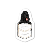 Black And Tan Virginia Foxhound Puppy Pet Pocket Sticker | Artistshot