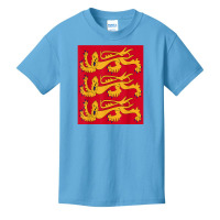 House Of Plantagenet T Shirt Angevin Empire Lancaster York Basic Youth T-shirt | Artistshot