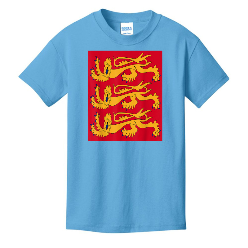 House Of Plantagenet T Shirt Angevin Empire Lancaster York Basic Youth T-shirt | Artistshot