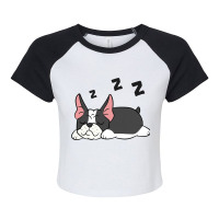 Boston Terrier Dog Pajama Funny Sleeping Boston Te Raglan Crop Top | Artistshot