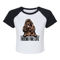 Dogs 365 Cocker Spaniel Dog   Friend For Life T Shirt Raglan Crop Top | Artistshot