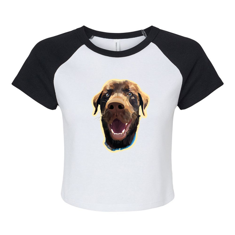 Dog Excitement Raglan Crop Top by mshel tyan | Artistshot