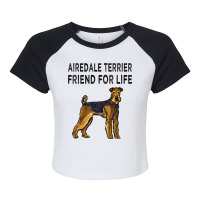 Airedale Terrier Friend For Life Dog Friendship 3 Raglan Crop Top | Artistshot