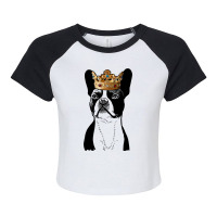 Boston Terrier Dog Wearing Crown Raglan Crop Top | Artistshot