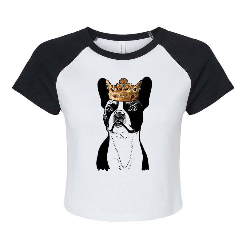 Boston Terrier Dog Wearing Crown Raglan Crop Top by KYERRAREED | Artistshot