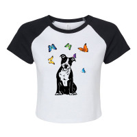 American Staffordshire Terrier Butterflies Amstaff Raglan Crop Top | Artistshot