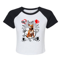 American Staffordshire Terrier Dog 3 Raglan Crop Top | Artistshot