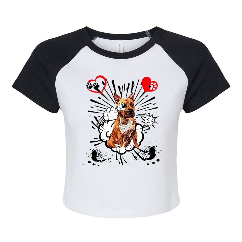 American Staffordshire Terrier Dog 3 Raglan Crop Top by EdwardVadez | Artistshot