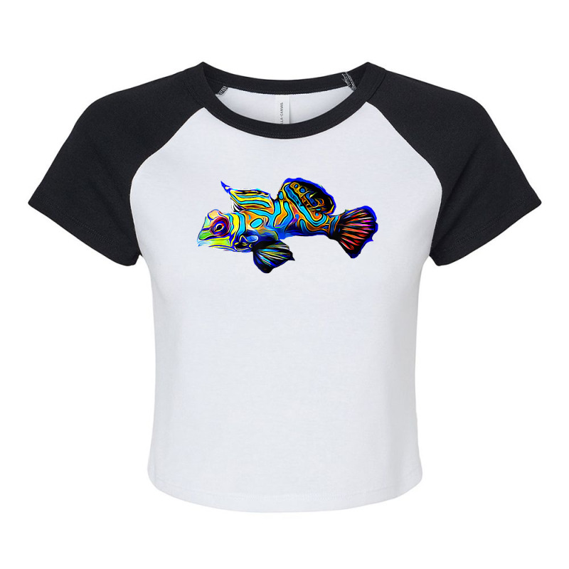 Mandarin Goby Dragonet Saltwater Reef Aquarium Fish Tank Raglan Crop Top by cm-arts | Artistshot