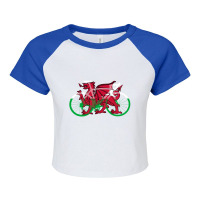 Bike Flag Wales (big) V2 Raglan Crop Top | Artistshot