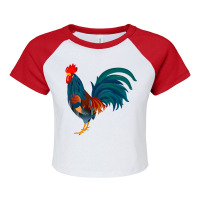 Rooster Classic Raglan Crop Top | Artistshot