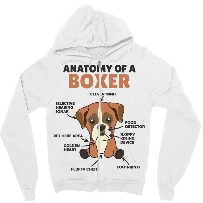 Anatomy Of A Boxer Cute Dogs Funny Dog Boxer 2 Zipper Hoodie | Artistshot