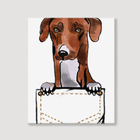 Azawakh Puppy For A Dog Owner Pet Pocket Colored Portrait Canvas Print | Artistshot