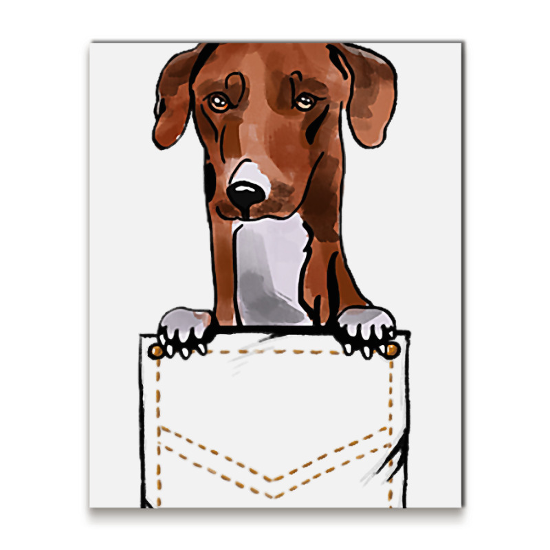 Azawakh Puppy For A Dog Owner Pet Pocket Colored Metal Print Vertical | Artistshot