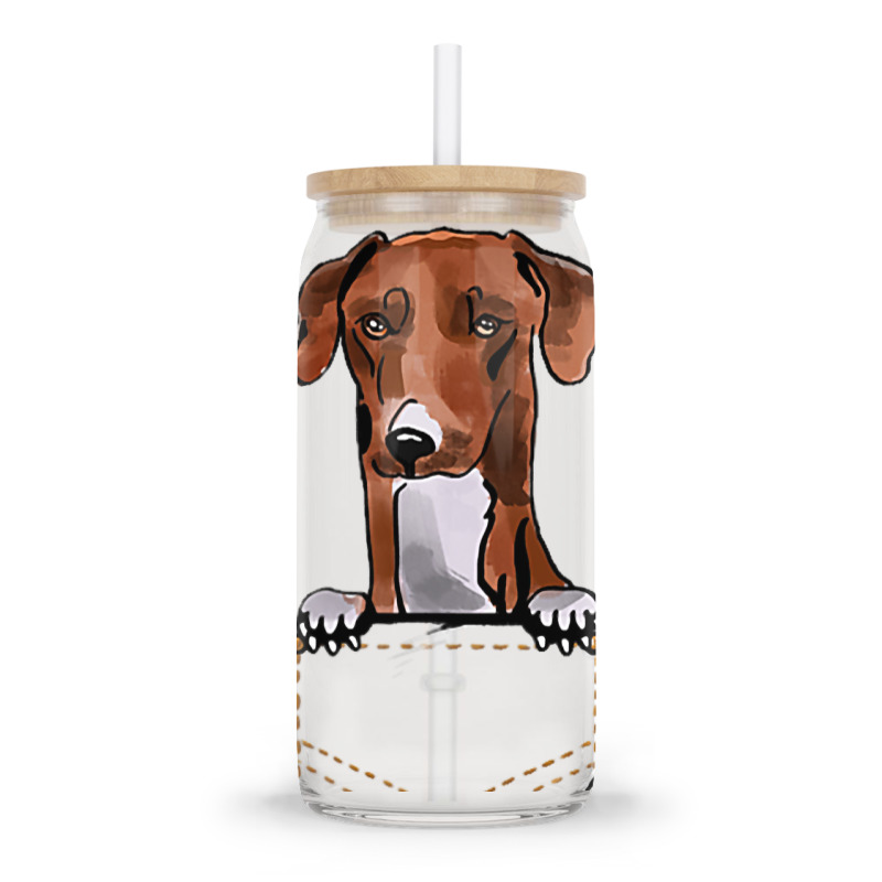 Azawakh Puppy For A Dog Owner Pet Pocket Colored Glass Tumbler | Artistshot