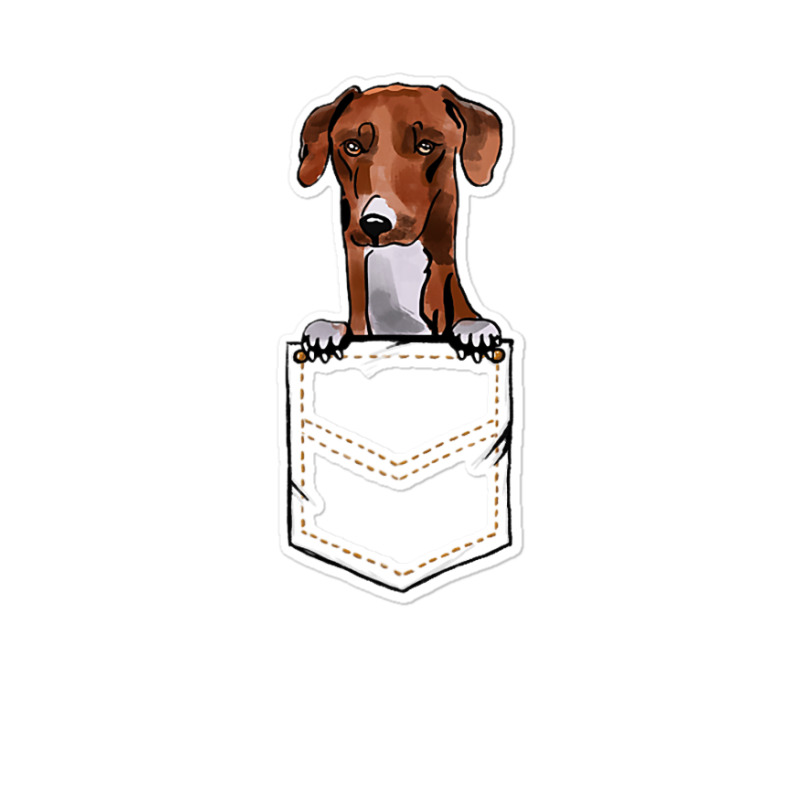 Azawakh Puppy For A Dog Owner Pet Pocket Colored Sticker | Artistshot