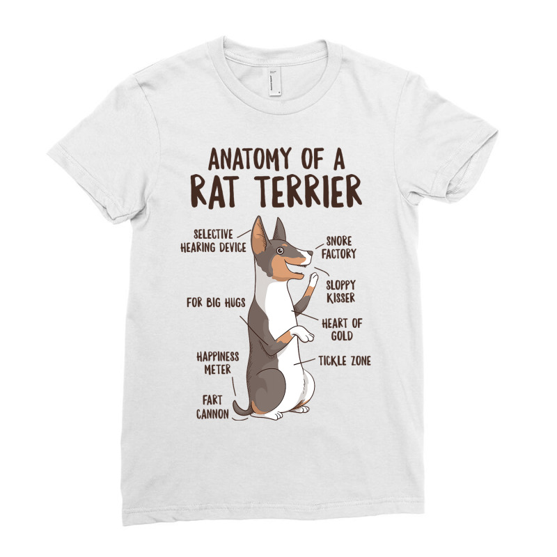 Anatomy Of A Rat Terrier Dog Owner Puppy Funny Cut Ladies Fitted T-Shirt by TONYGYARMATI | Artistshot