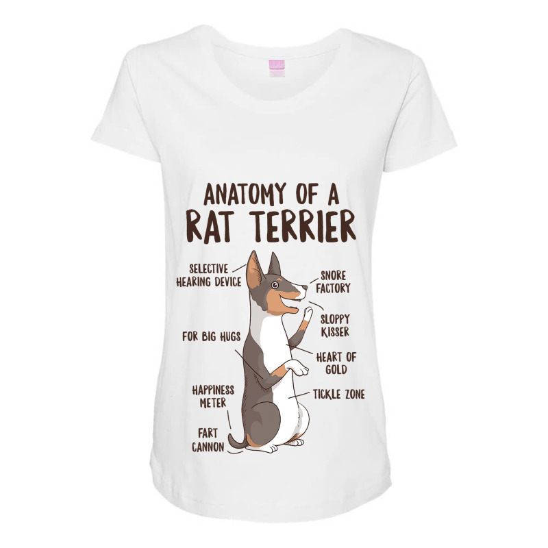 Anatomy Of A Rat Terrier Dog Owner Puppy Funny Cut Maternity Scoop Neck T-shirt by TONYGYARMATI | Artistshot