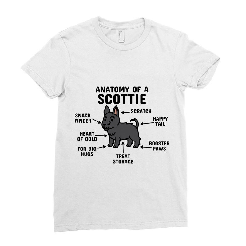 Anatomy Of A Scottish Terrier Dog 3 Ladies Fitted T-Shirt by FAWNDACRAMER | Artistshot