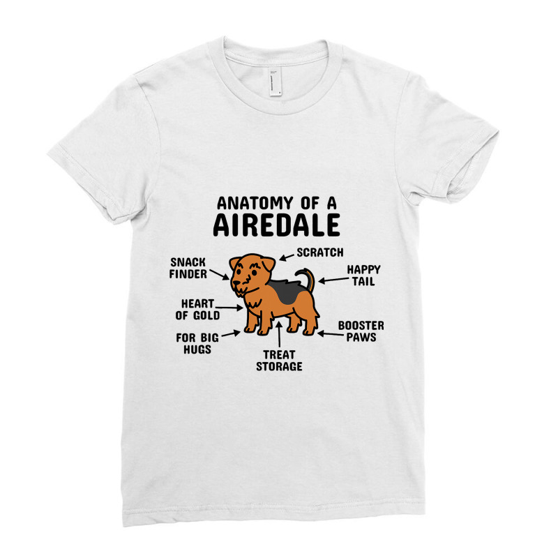 Anatomy Of An Airedale Terrier Dog 3 Ladies Fitted T-Shirt by SHAWNTANEICEWOODARD | Artistshot