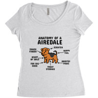 Anatomy Of An Airedale Terrier Dog 3 Women's Triblend Scoop T-shirt | Artistshot