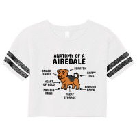 Anatomy Of An Airedale Terrier Dog 3 Scorecard Crop Tee | Artistshot